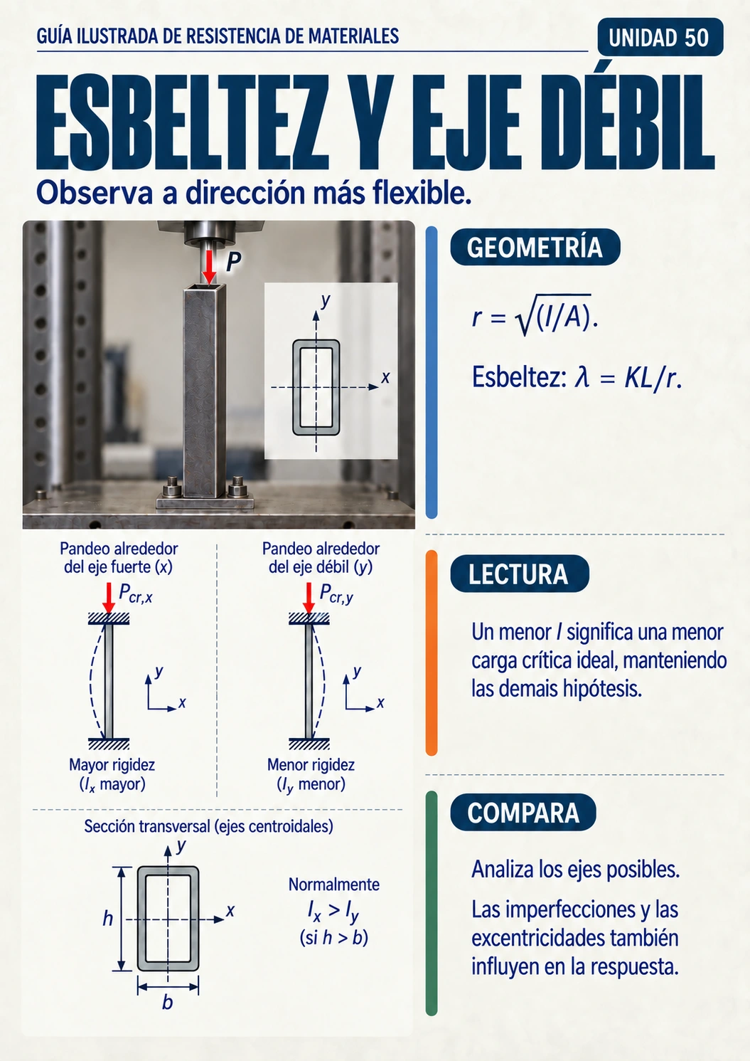 Vista previa 6